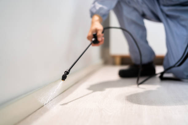 Bed Bug Pre-Treatment Preparation Assessment in Bowie