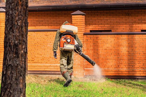 Bed Bug Clearance Verification and Documentation in Bowie